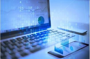破局與新生 中年網絡工程師如何成功轉型網絡工程未來之路